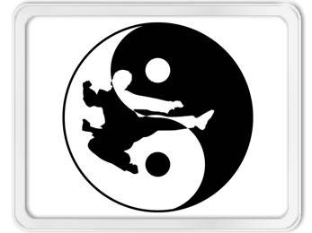 Kung Fu di Chenjiagou - Il Programma