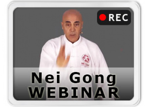 Il potere segreto del Tai Chi: Nei Gong - Webinar 24 lezioni registrate