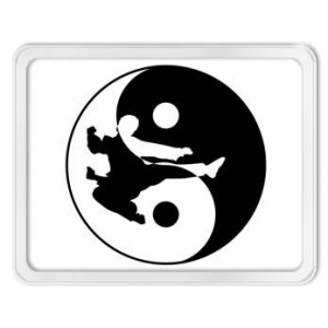 Kung Fu di Chenjiagou - Il Programma