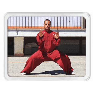 Qi Gong - Sequenza Madre