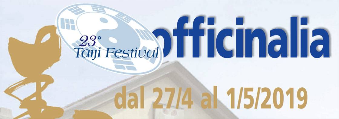 taiji festival belgioioso 2019